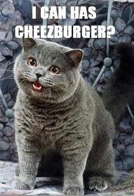 I-can-has-cheezburger