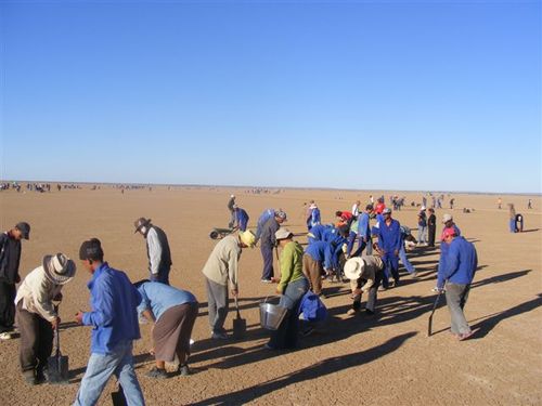 Hakskeenpan_track_prep_041