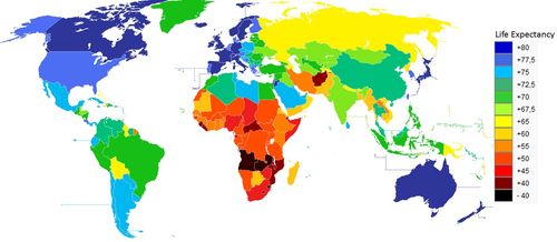 Life Expectancy