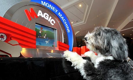 Metro-Bank-dogs