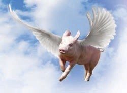 FlyingPig