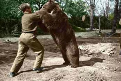 Wojtek2