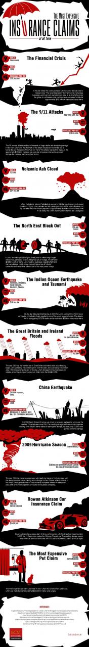 Largest-Insurance-Payouts-Infographic