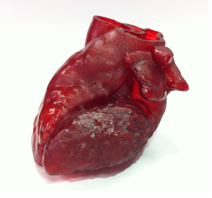 3D-printed_heart-2