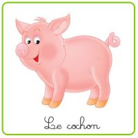 Le cochon