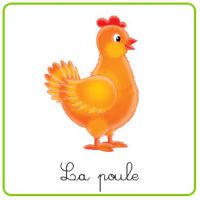 La poule